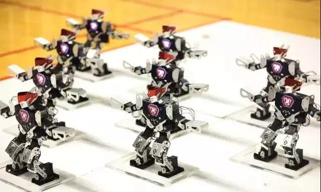 广州乐博人形机器人培训班