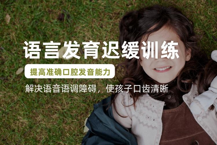 上海语言障碍宝宝怎么训练名单榜首一览