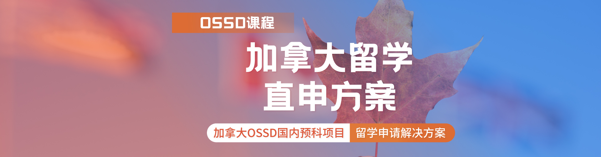 广州新航道加拿大OSSD国内预科项目